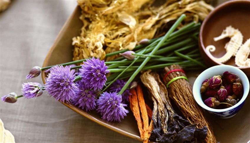 La Fitoterapia ci fa conoscere le proprietà medicamentose dei vegetali La Fitoterapia ci fa conoscere le proprietà medicamentose dei vegetali